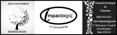 Impactogsj e-consulting consultoria integral de empresas y profesionales