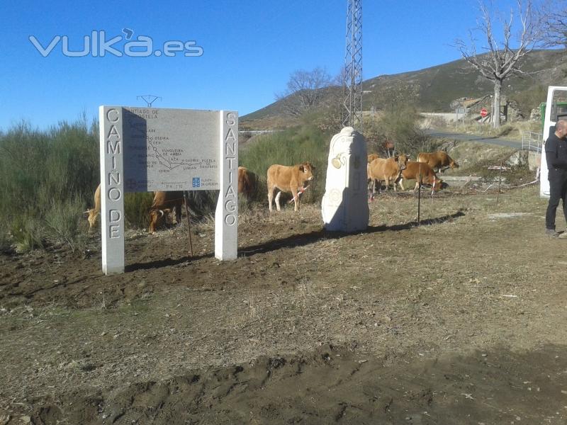 CAMINO DE SANTIAGO VIA DE LA PLATA,..ENTRADA A ORENSE DESDE ZAMORA