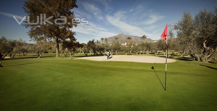 Real Club de Golf Las Brisas