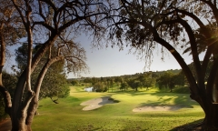Foto 164 viajes en Mlaga - Real Club de Golf las Brisas