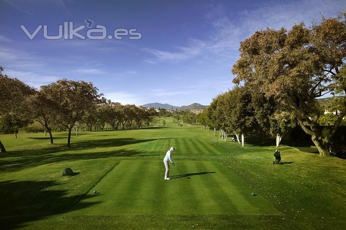 Real Club de Golf Las Brisas