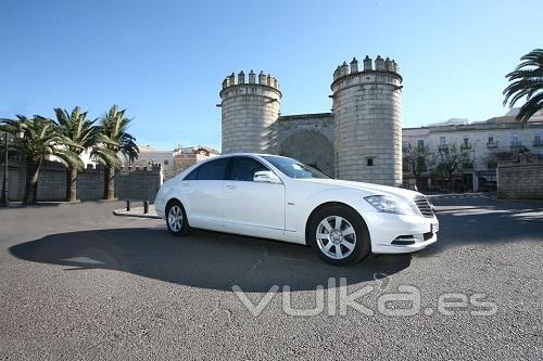 Vehículo Mercedes S 350 Largo