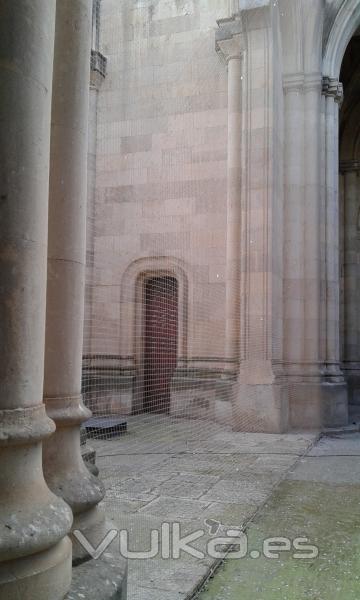 Ailcapa- Red antipalomas montada en Basílica de Alba de Tormes (Salamanca)
