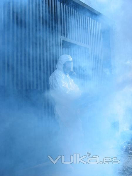 Fumigacion  contra plagas por Ailcapa