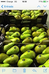 ENTELENA