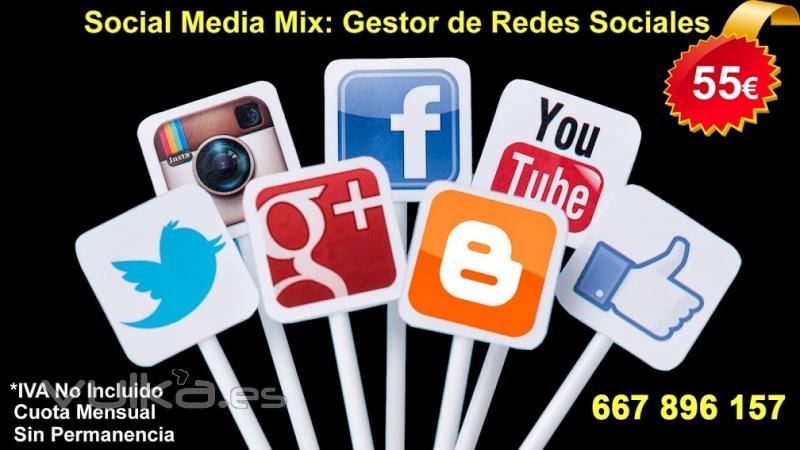Social Media Mix: Ms Visitas, Ms Clientes, Ms Ventas