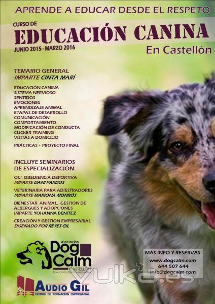 Aprende a educar desde el respeto. CURSO EDUCACIN CANINA EN CASTELLN.