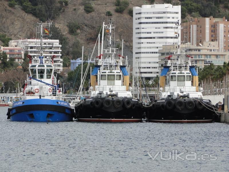 Barcos de trabajo - Alnasur