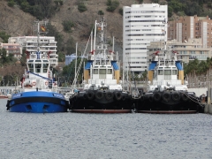 Barcos de trabajo - alnasur
