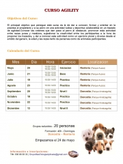 Curso agility 2015 san sebastian , guipuzcoa