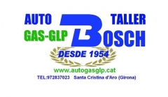 Foto 598 mantenimiento en Girona - Auto Taller Emili Bosch