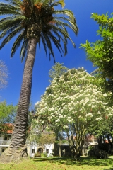 Jardin, hosteria de arnuero