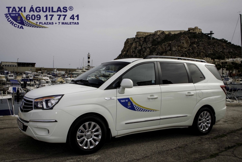 TAXI GUILAS TLF: 609 17 77 41 (TAXI 7 PLAZAS + 7 MALETAS)