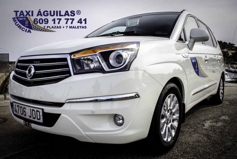 TAXI GUILAS TLF: 609 17 77 41 (TAXI 7 PLAZAS + 7 MALETAS)