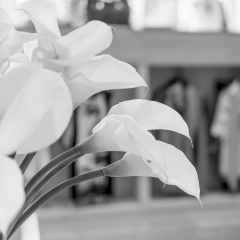 Interior boutique kety paniagua