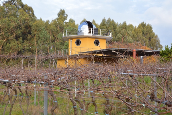 Bodega Luz de estrelas