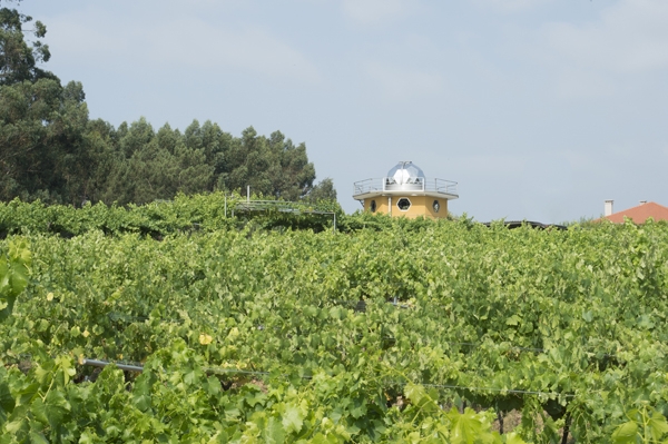 Bodega Luz de Estrelas