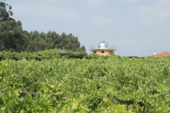 Bodega luz de estrelas