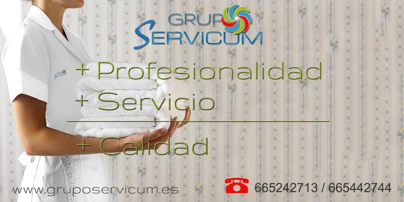 Servicios de Limpieza Profesional  para Hoteles en Sevilla