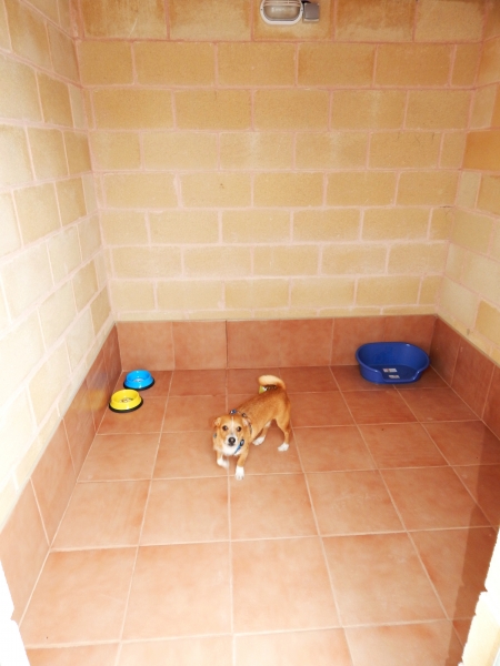 Residencia canina