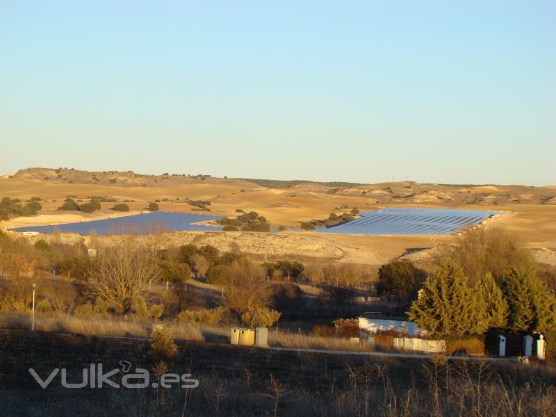 Huerta solar de 9,5 MW con mdulos Yingli policristalinos en Villar de Caas (Cuenca)