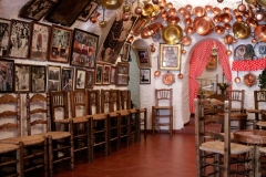 Cueva-museo-flamenco