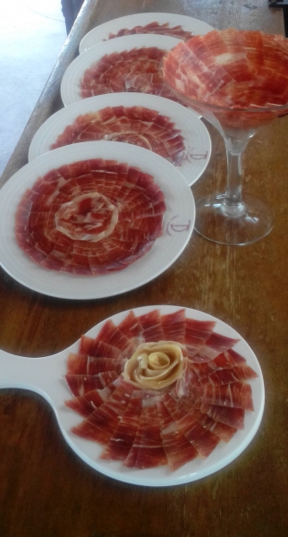 Platos de presentación