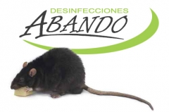 Empresa de desratizacion