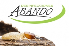 Eliminacion de termitas y carcoma