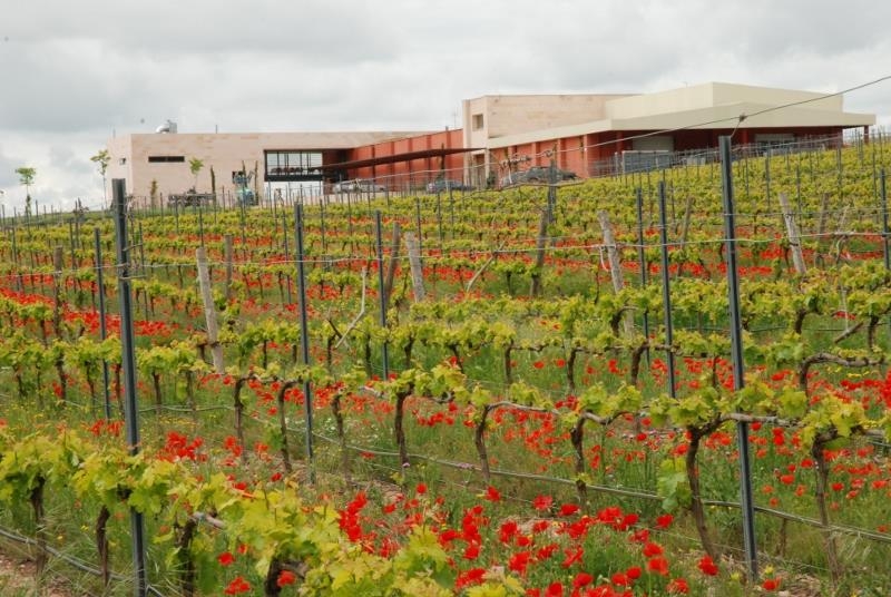 Bodegas Comenge Ribera del Duero