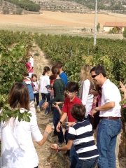 Foto 5 bodegas de vino en Valladolid - Bodegas Comenge Ribera del Duero