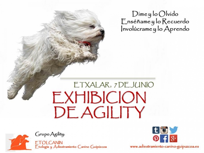 AGILITY ETOLCANIN GUIPUZCOA