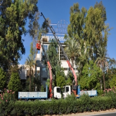 Poda de arboles de gran altura en el hotel Al Andalus de Sevilla