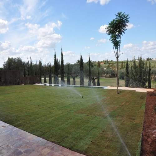 Diseo de jardn en el aljarafe de Sevilla