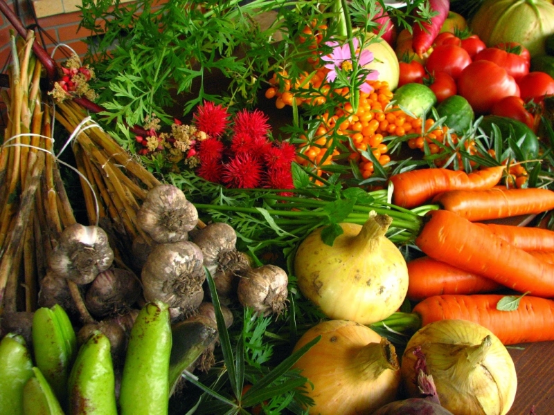 fruta y verdura de Fincamonteverde ( Molina de Segura)