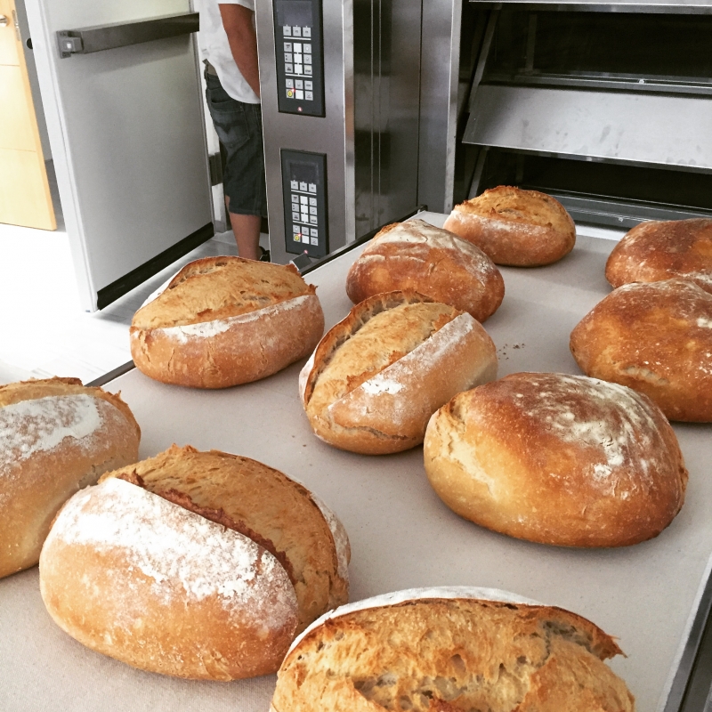 HORNOS DE PANADERA cobaMaq