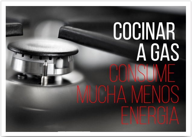 Cocinar a gas consume mucha menos energía.