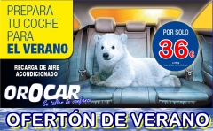 Talleres orocar, servicio auto-puerta a puerta, coche de sustitucion gratis, revisiones y mantenimie
