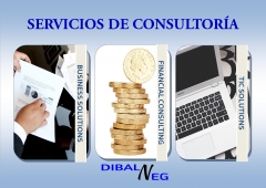 Dibalneg aporta a sus clientes, un servicio de excelencia en consultora.
