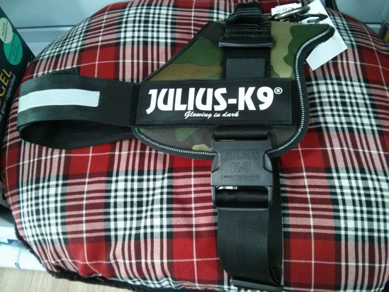 Cojn de descanso y harnes grande Julius K9 la mejor calidad