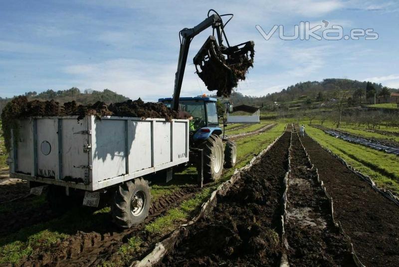 Lombriastur Trabajos en la explotación