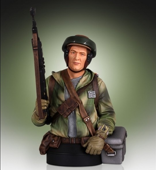 Busto 1/6 Endor Trooper 18 cm