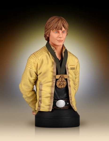 Busto 1/6 Luke Skywalker Hero of Yavin 17 cm