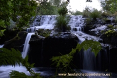 Candelario