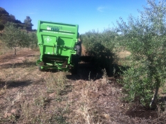 Aplicacion de enmienda organica en olivos de 10-80 anos, en secano y riego localizado