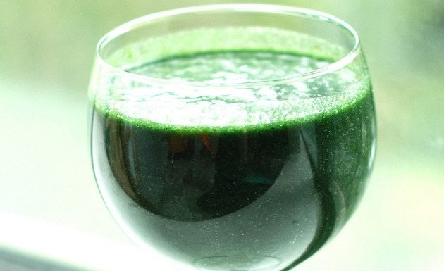 La magia de la espirulina est presente en Herbolario VidaNatural