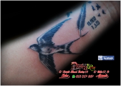 Tatuate studio