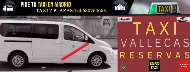 Eurotaxi 7 plazas Madrid