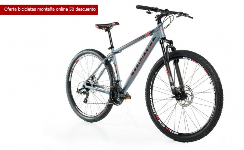 Oferta bicicleta montaña