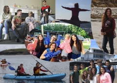 International experience 2015